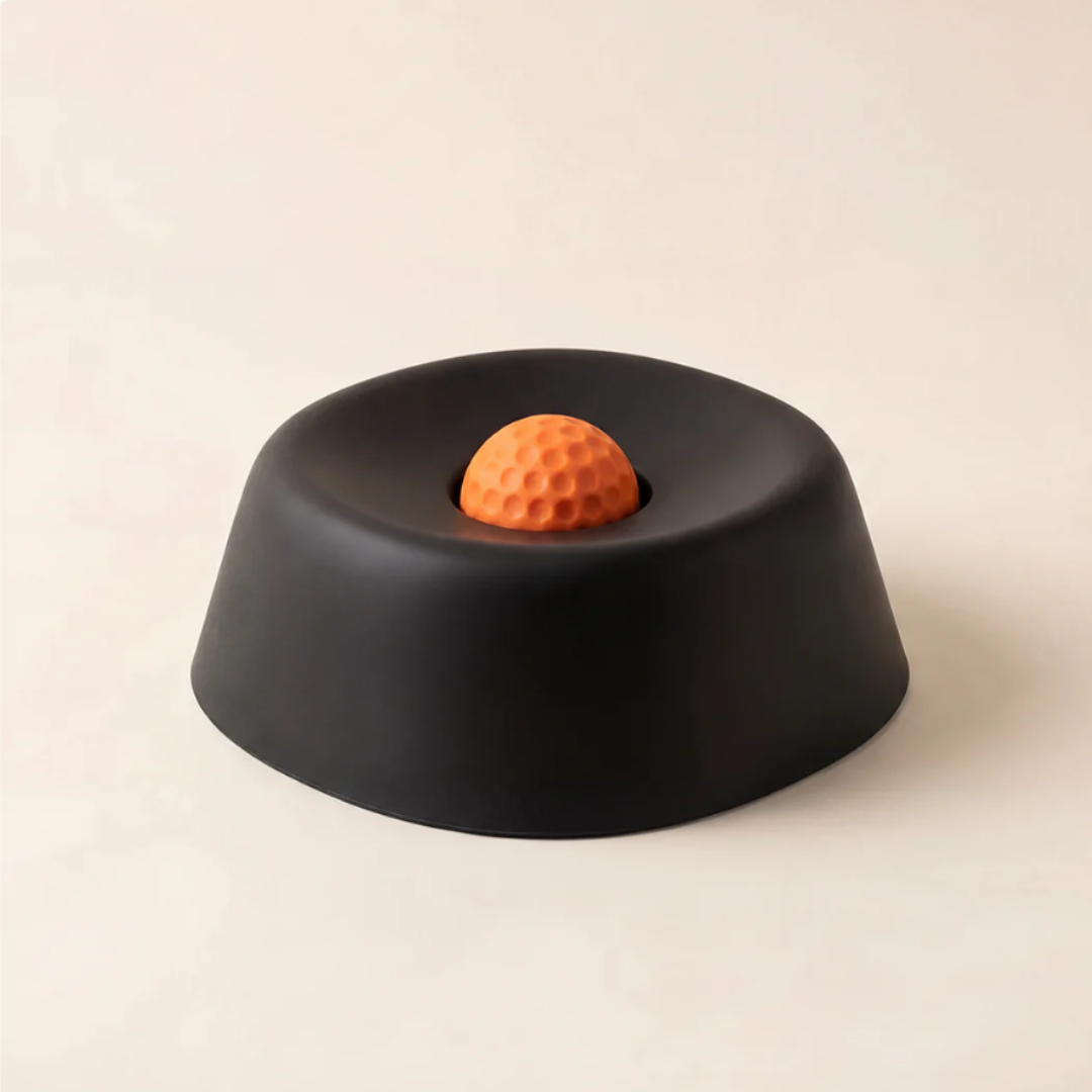 Slow Feeder Bowl