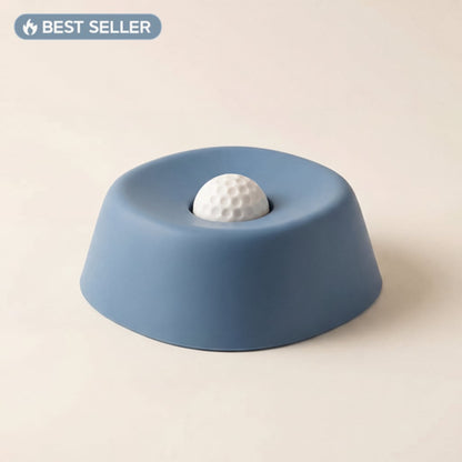 Slow Feeder Bowl